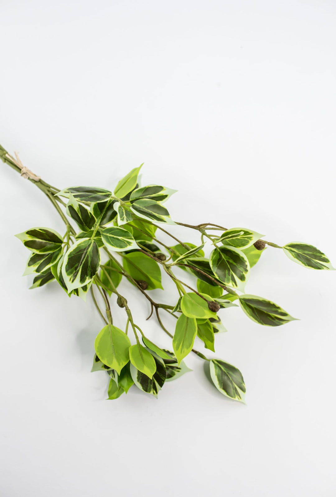 Artificial wild euonymus soft touch - Greenery MarketgreeneryMTF24617