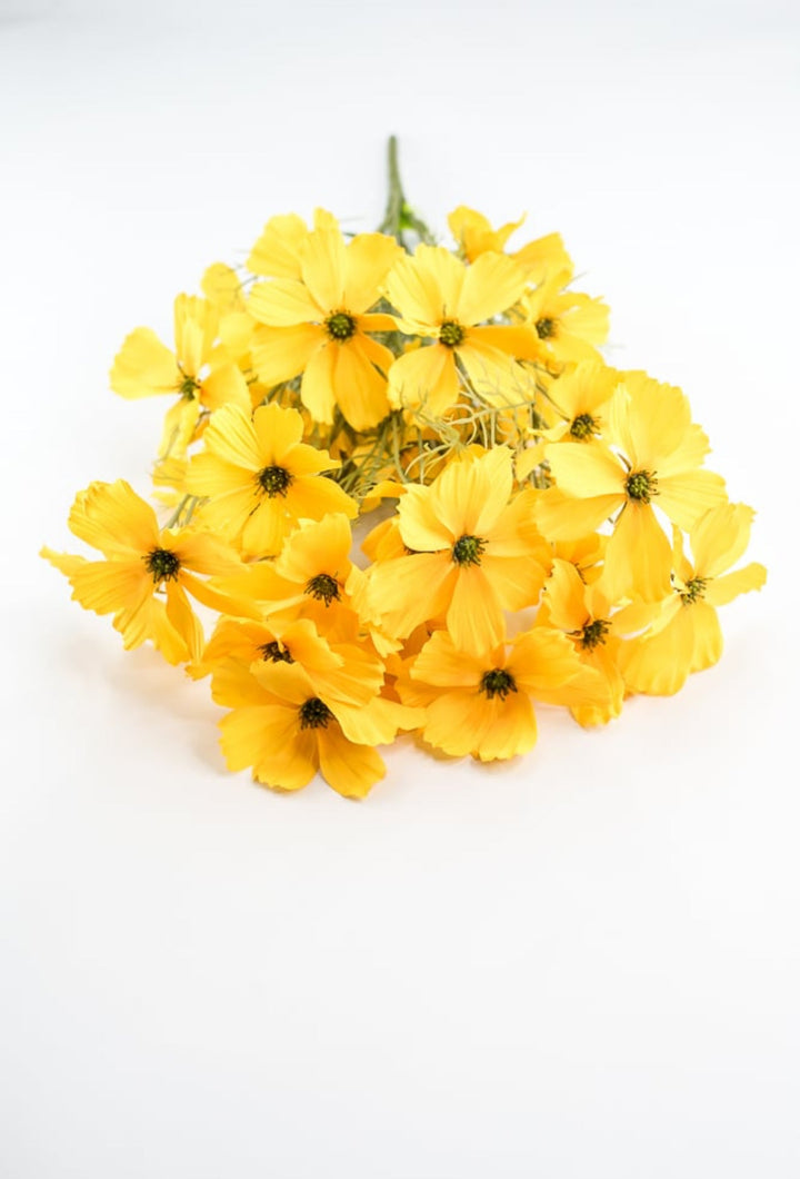 Artificial, Yellow, Garden Cosmos Bush - Greenery Market63664YW