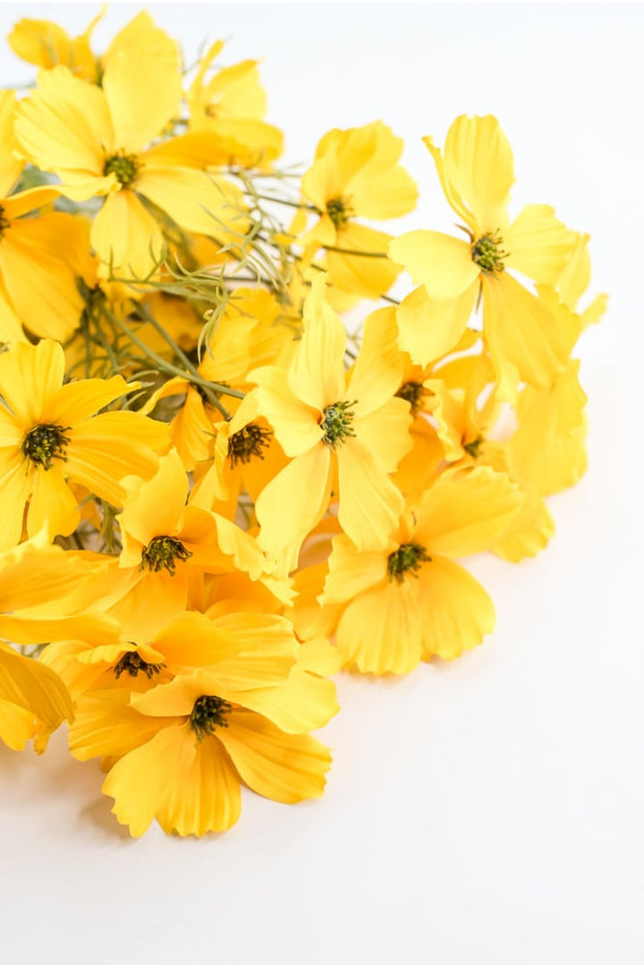 Artificial, Yellow, Garden Cosmos Bush - Greenery Market63664YW