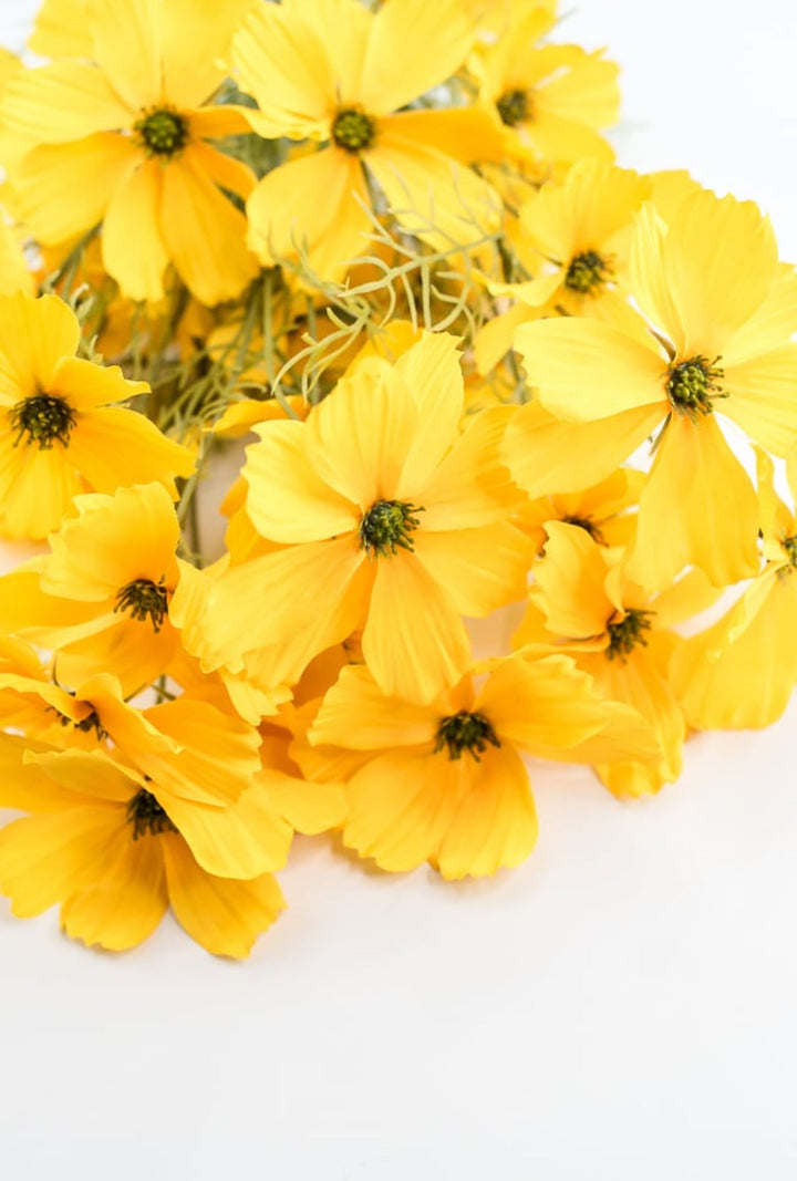 Artificial, Yellow, Garden Cosmos Bush - Greenery Market63664YW