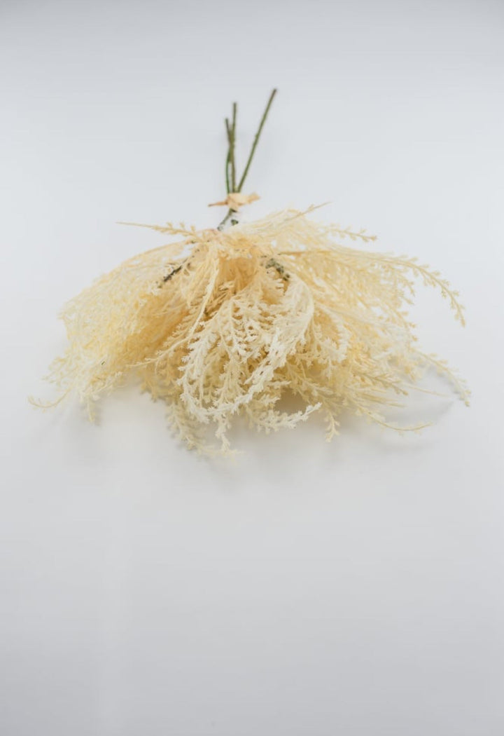 Astilbe bundle x 4 - cream - Greenery MarketArtificial Flora26289