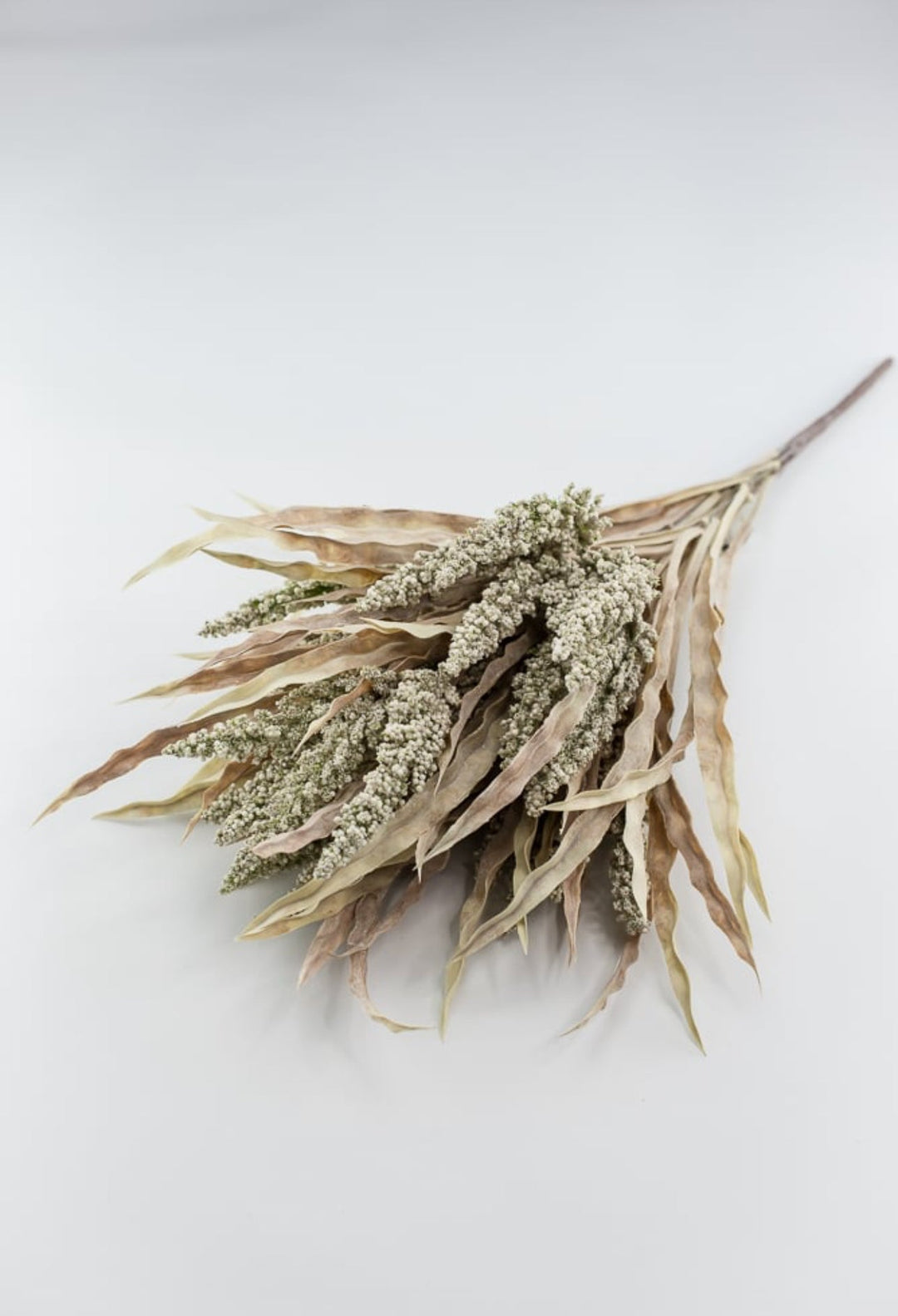 Astilbe wheat grass bush - cream tan - Greenery MarketArtificial Flora26471