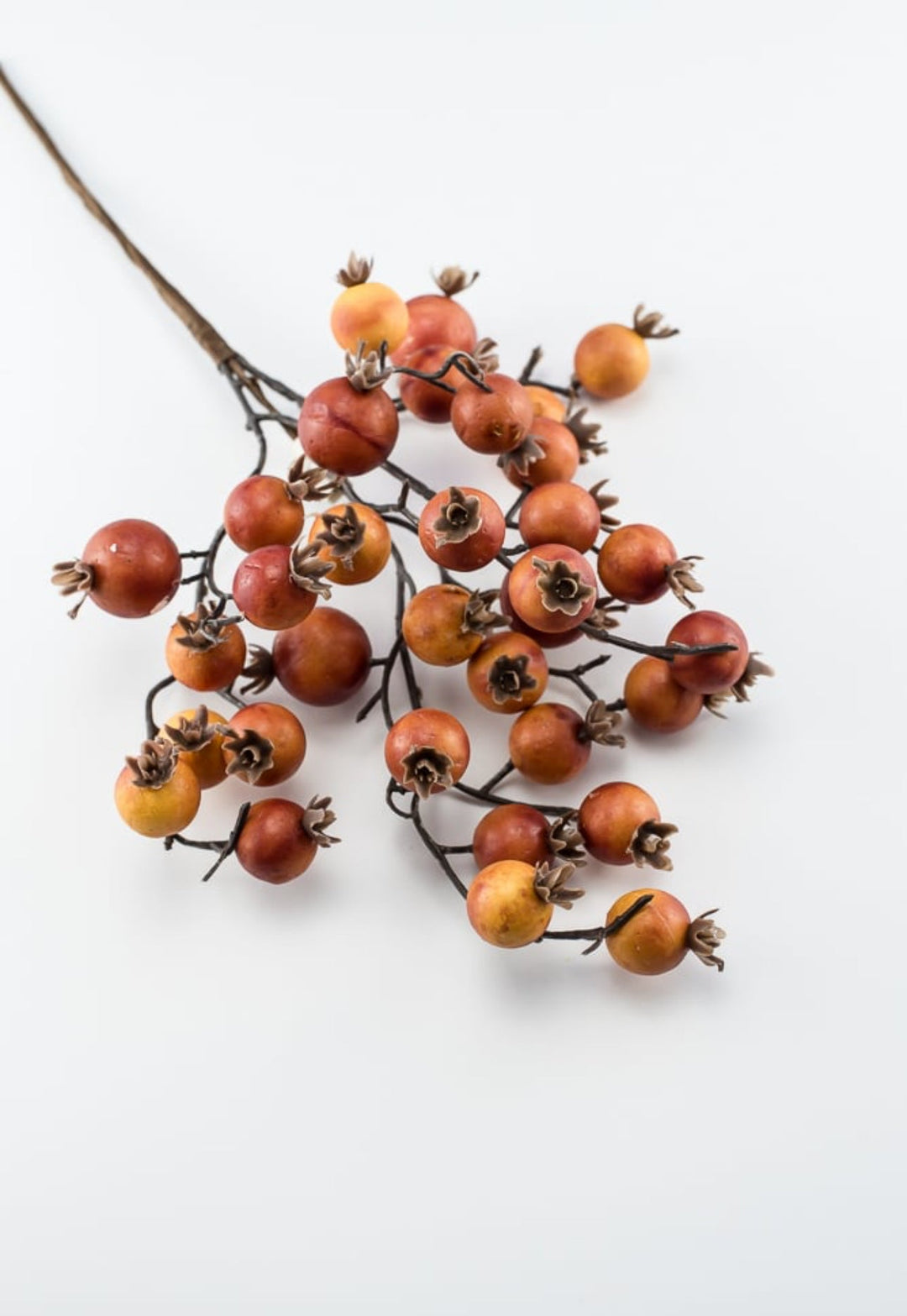 Autumn berry pick - brick - Greenery MarketBerriesB1616 - BRI