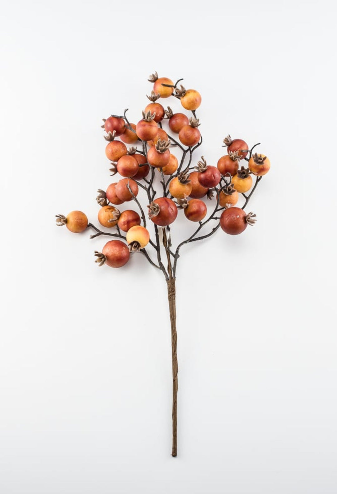 Autumn berry pick - brick - Greenery MarketBerriesB1616 - BRI