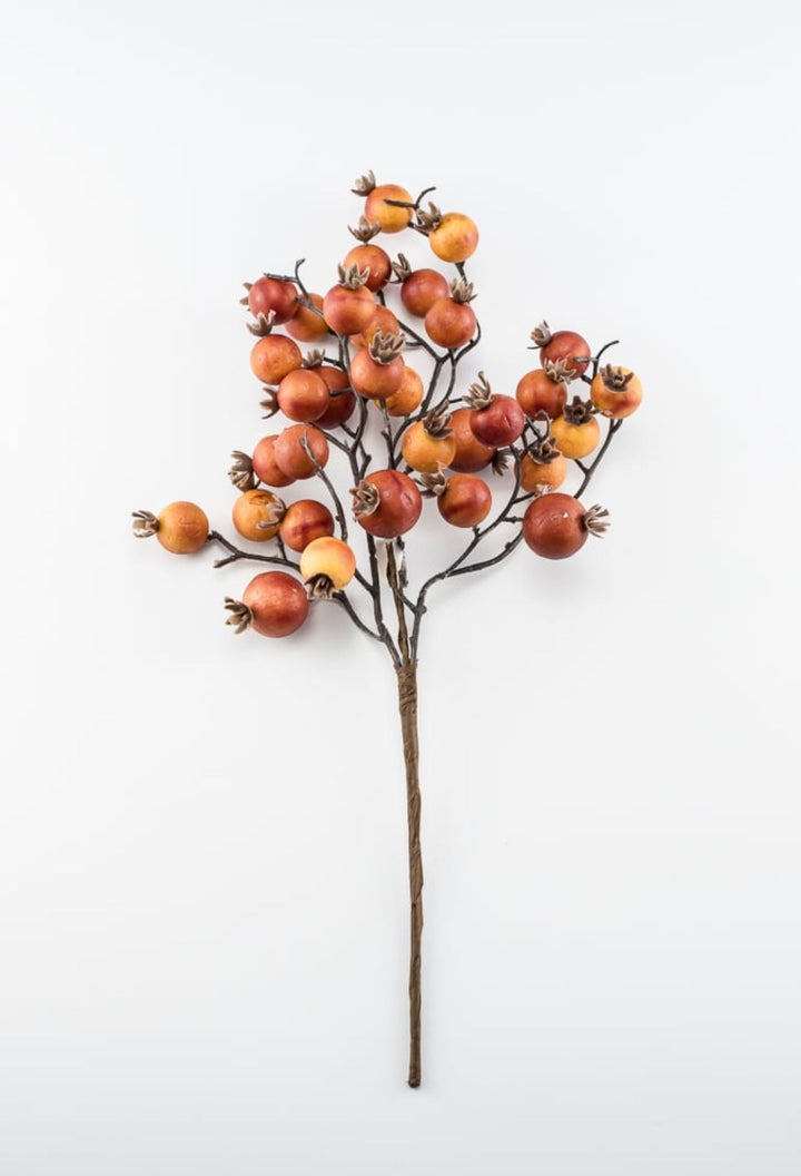 Autumn berry pick - brick - Greenery MarketBerriesB1616 - BRI