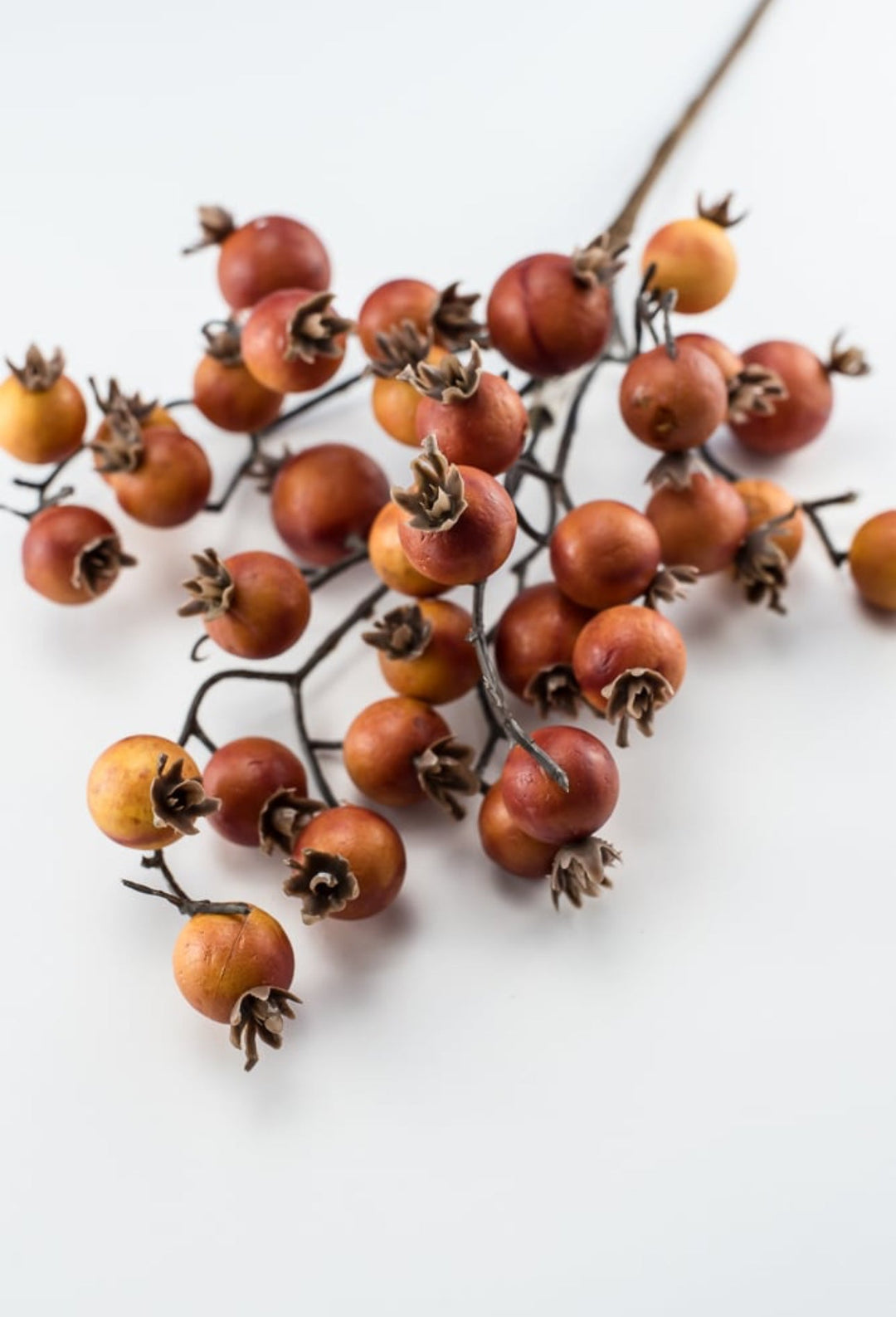 Autumn berry pick - brick - Greenery MarketBerriesB1616 - BRI