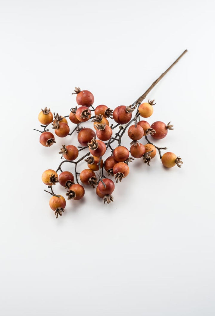 Autumn berry pick - brick - Greenery MarketBerriesB1616 - BRI