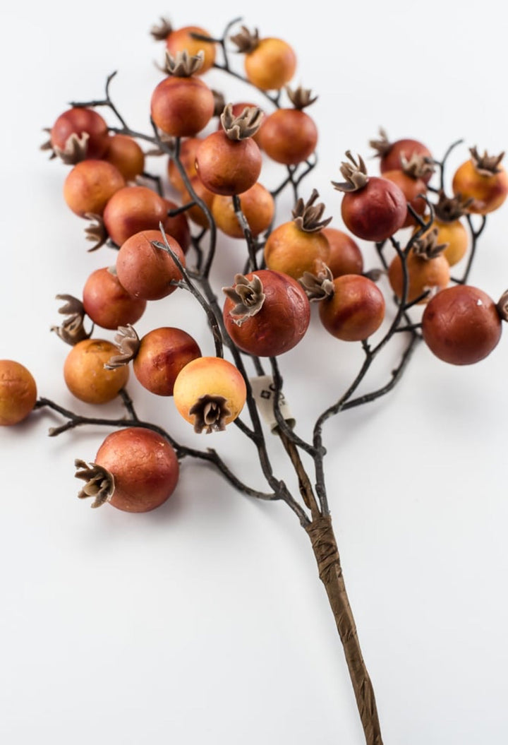 Autumn berry pick - brick - Greenery MarketBerriesB1616 - BRI