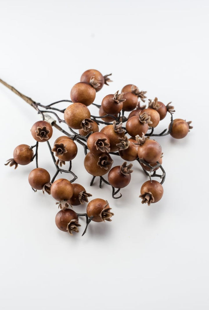 Autumn berry pick - coffee - Greenery MarketBerriesB1616 - COF