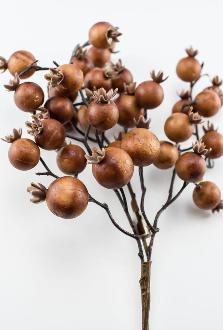 Autumn berry pick - coffee - Greenery MarketBerriesB1616 - COF