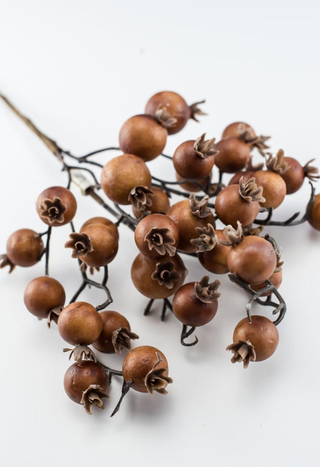 Autumn berry pick - coffee - Greenery MarketBerriesB1616 - COF