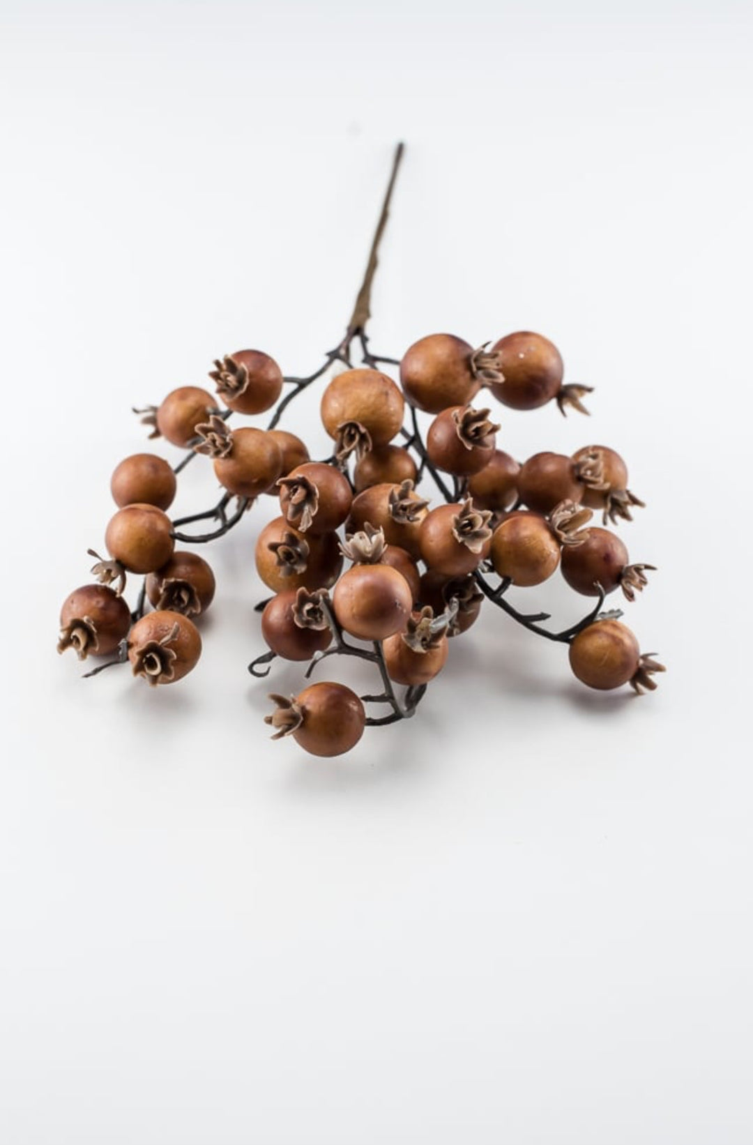 Autumn berry pick - coffee - Greenery MarketBerriesB1616 - COF