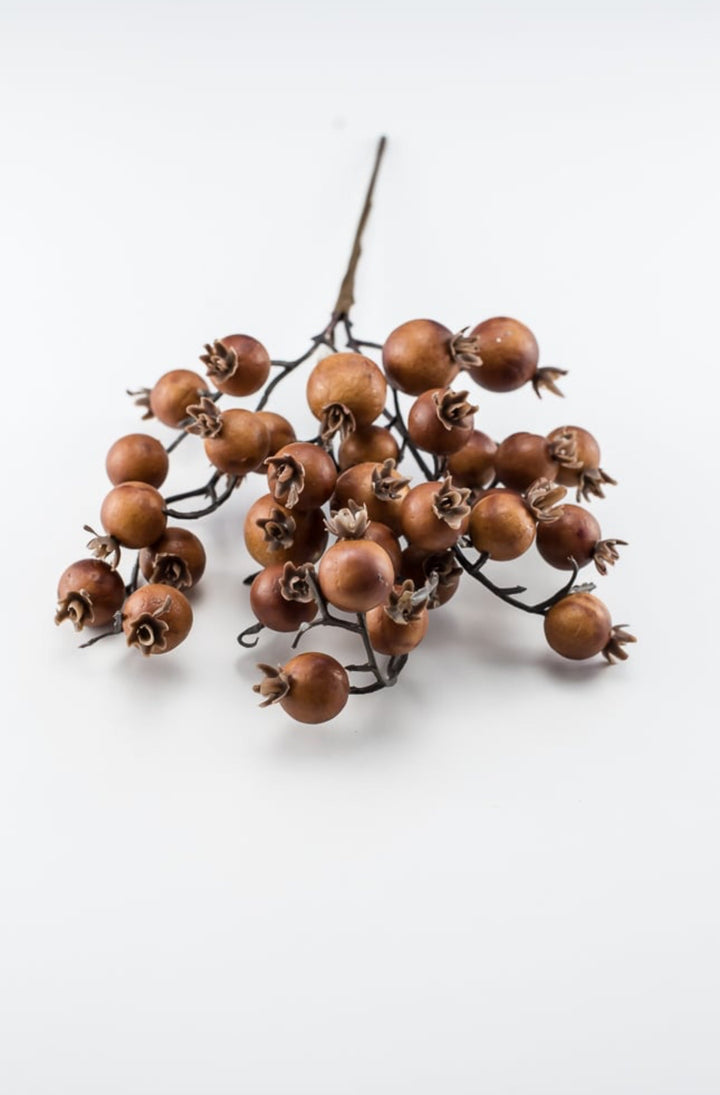Autumn berry pick - coffee - Greenery MarketBerriesB1616 - COF