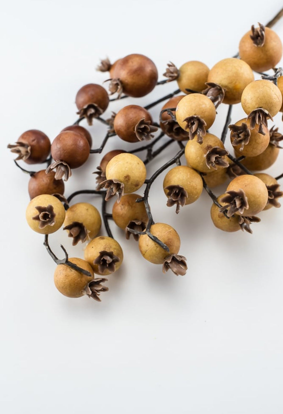 Autumn berry pick - spice - Greenery MarketB1616 - SPI