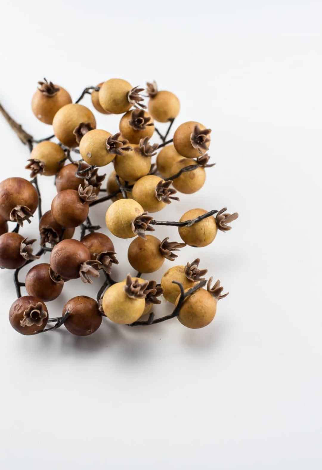 Autumn berry pick - spice - Greenery MarketB1616 - SPI