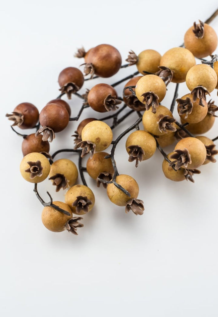 Autumn berry pick - spice - Greenery MarketB1616 - SPI