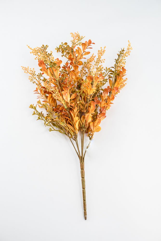 Autumn Boxwood Seedum bush - Greenery Marketgreenery57014YWBN