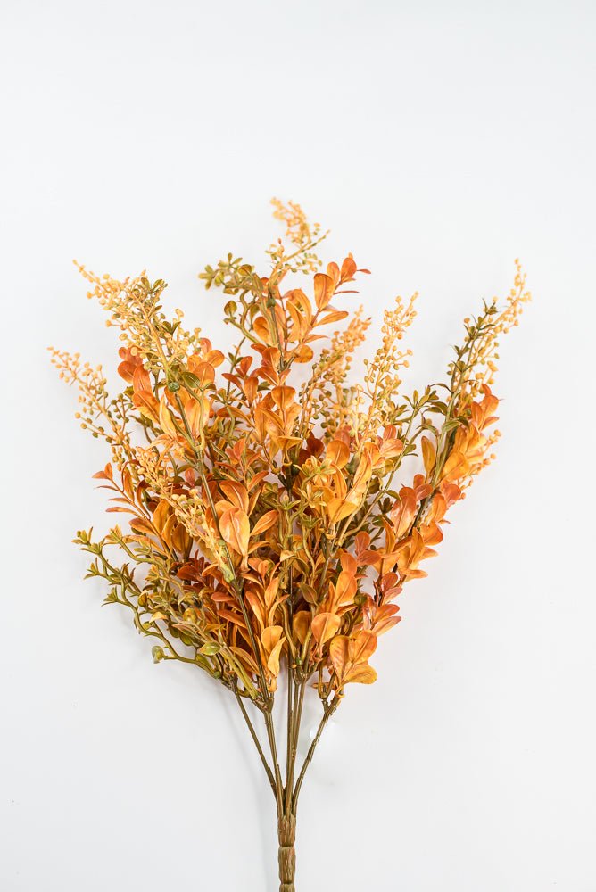 Autumn Boxwood Seedum bush - Greenery Marketgreenery57014YWBN
