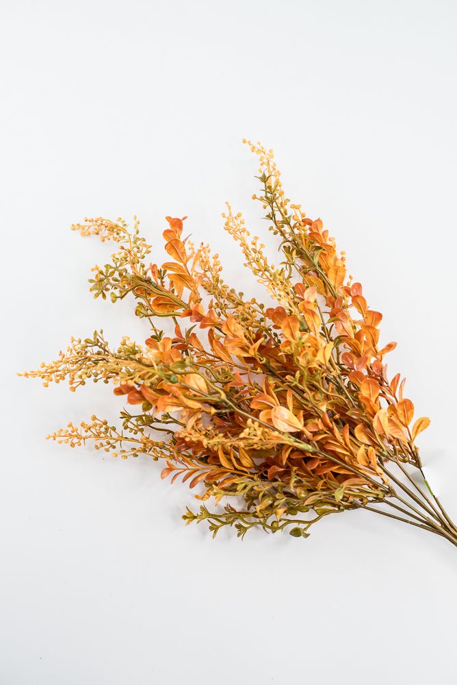 Autumn Boxwood Seedum bush - Greenery Marketgreenery57014YWBN
