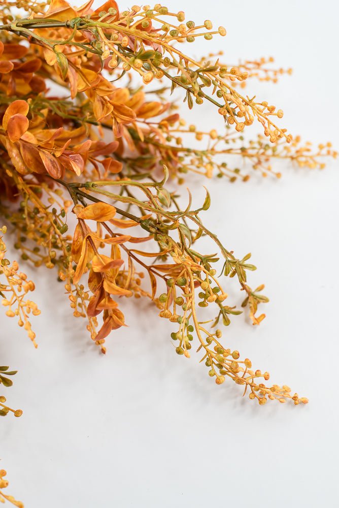 Autumn Boxwood Seedum bush - Greenery Marketgreenery57014YWBN