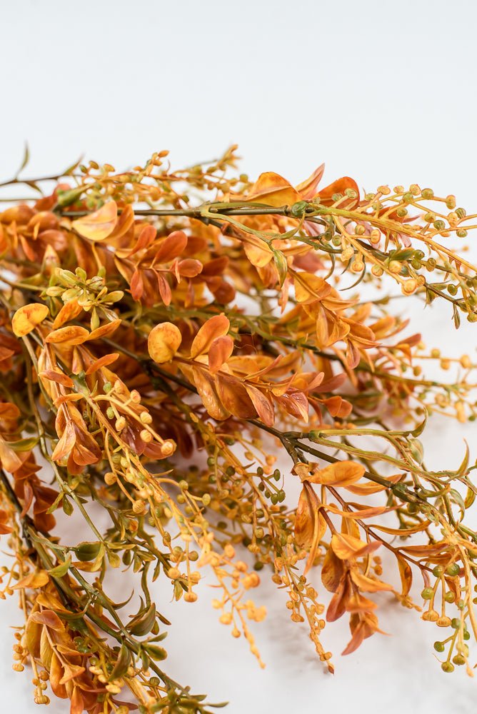 Autumn Boxwood Seedum bush - Greenery Marketgreenery57014YWBN