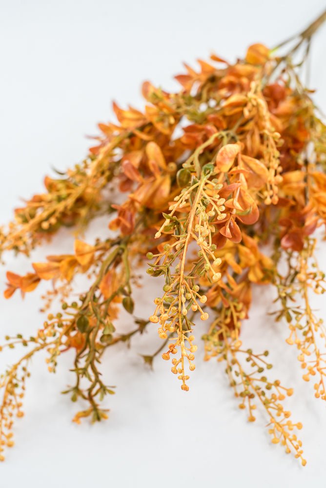 Autumn Boxwood Seedum bush - Greenery Marketgreenery57014YWBN