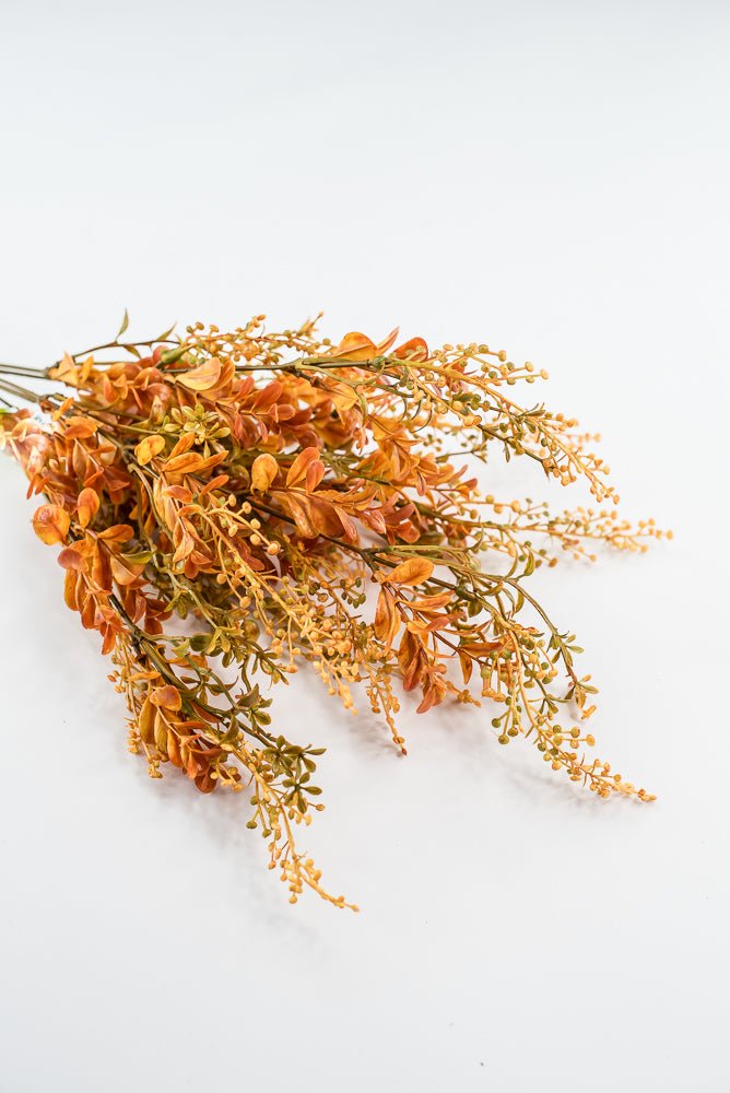 Autumn Boxwood Seedum bush - Greenery Marketgreenery57014YWBN