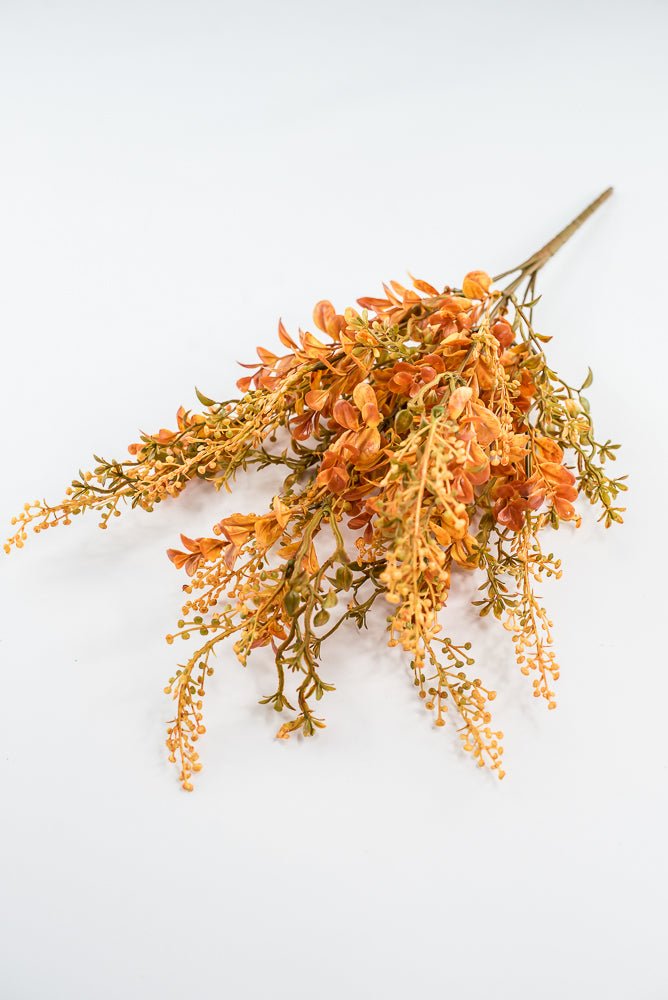 Autumn Boxwood Seedum bush - Greenery Marketgreenery57014YWBN
