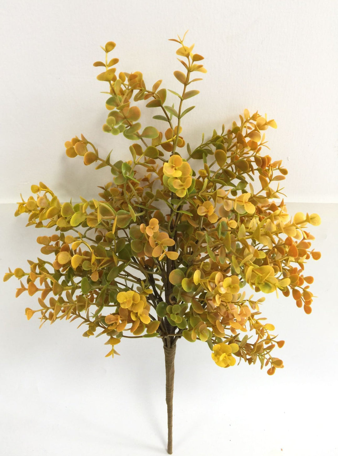 Autumn Eucalyptus bush - Greenery Marketgreenery65369