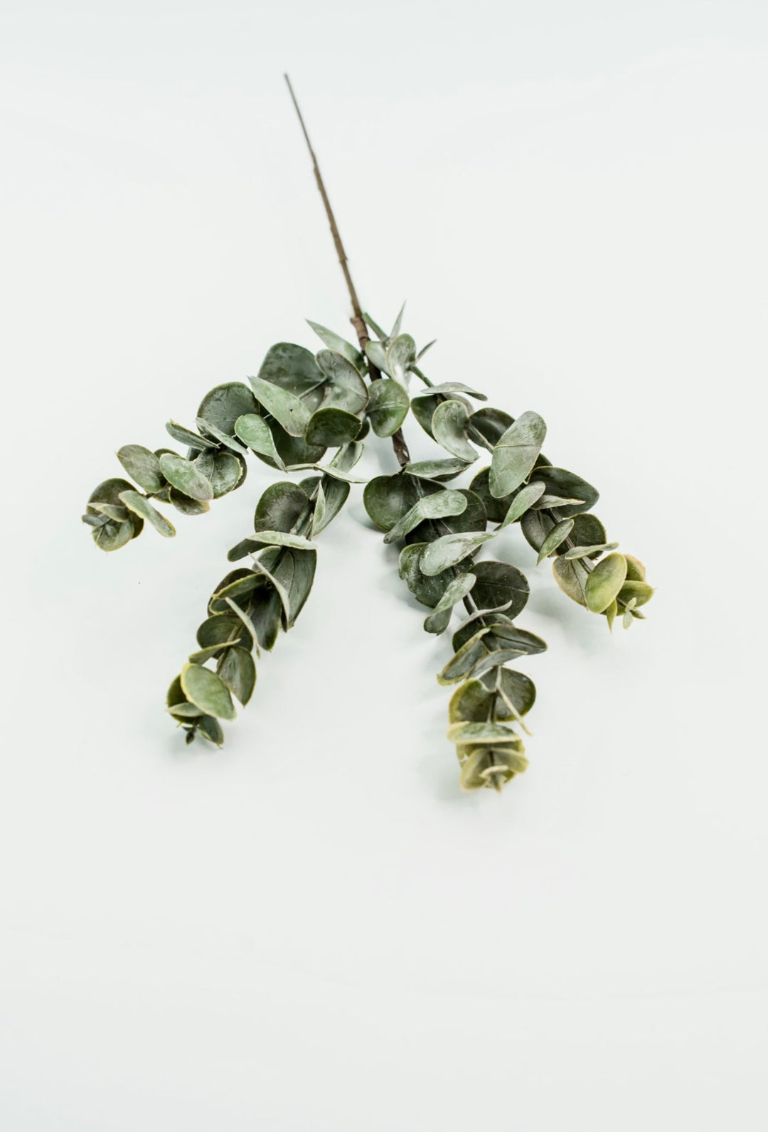 Autumn Eucalyptus pick - warm golden tipped - Greenery MarketArtificial Flora26265