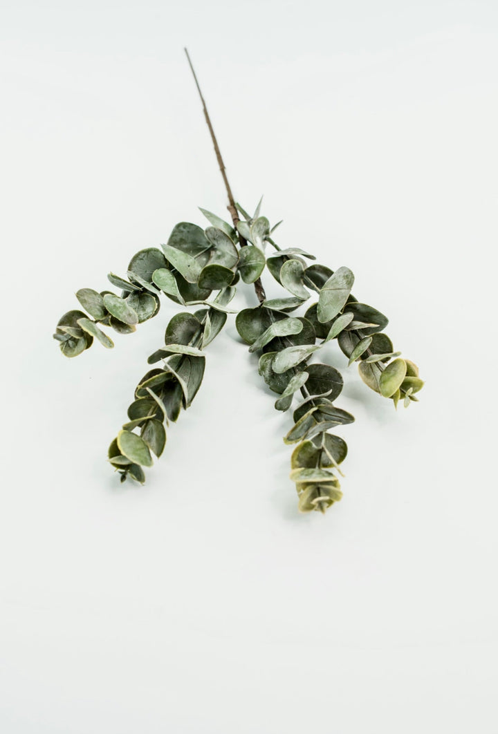 Autumn Eucalyptus pick - warm golden tipped - Greenery MarketArtificial Flora26265