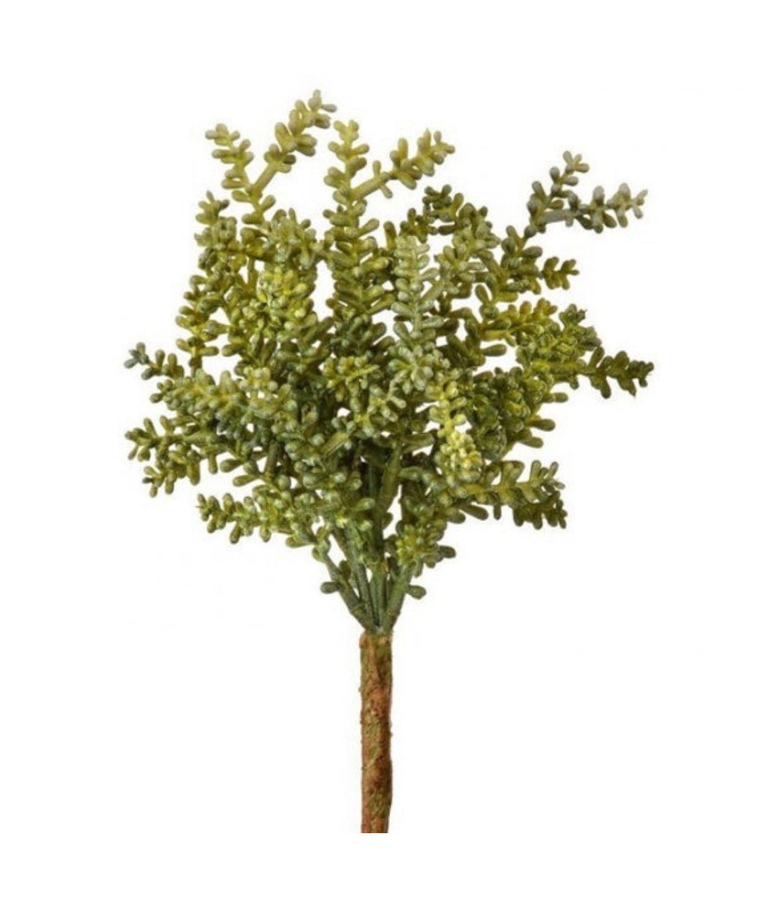 Baby tear succulent pick - Greenery MarketArtificial Succulentscc7334grgy