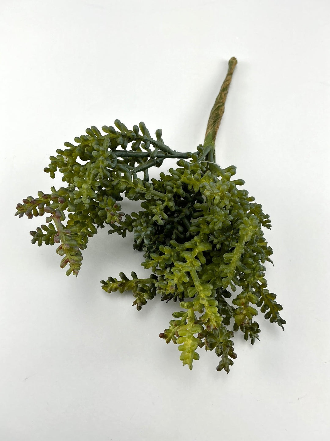 Baby tear succulent pick - Greenery MarketArtificial SucculentsMtf22824