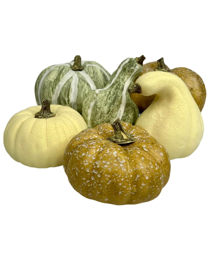 Bag of cream, beige, tan and sage green Pumpkins - Greenery Market81367