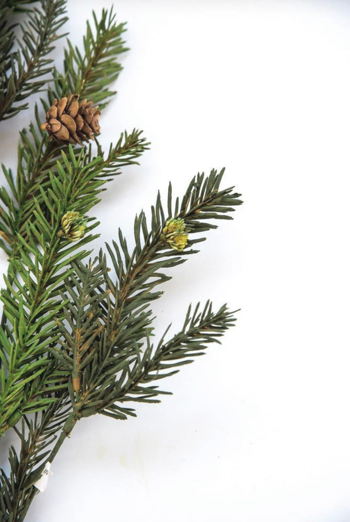 Bald cypress evergreen greenery spray - Greenery Marketgreenery26078