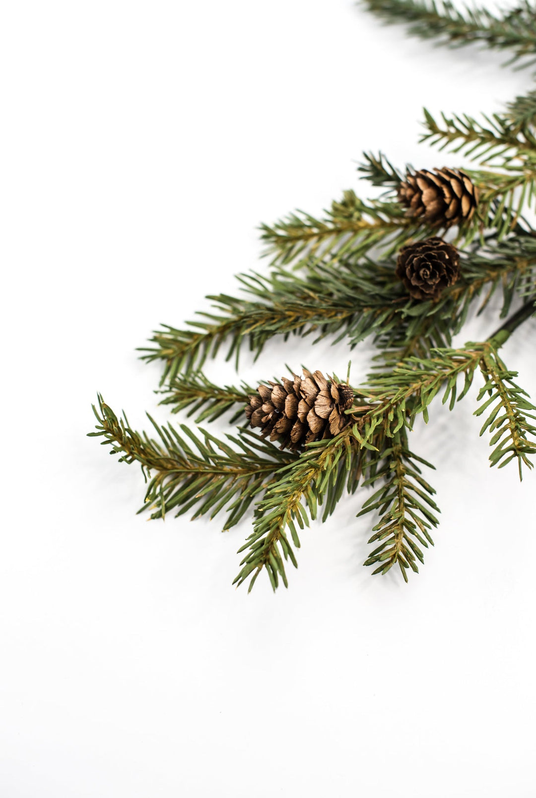 Bald cypress evergreen greenery spray - Greenery Marketgreenery26078