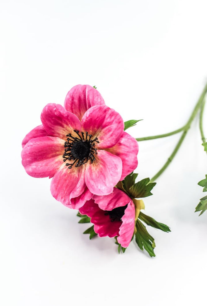 Beauty Pink Anemone Spray - Greenery Market220774