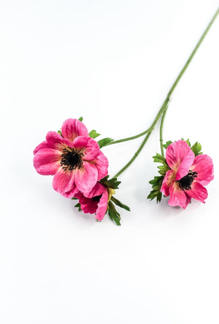 Beauty Pink Anemone Spray - Greenery Market220774