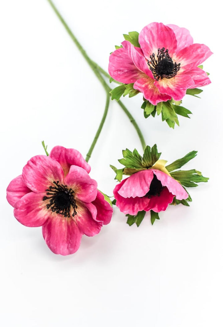 Beauty Pink Anemone Spray - Greenery Market220774