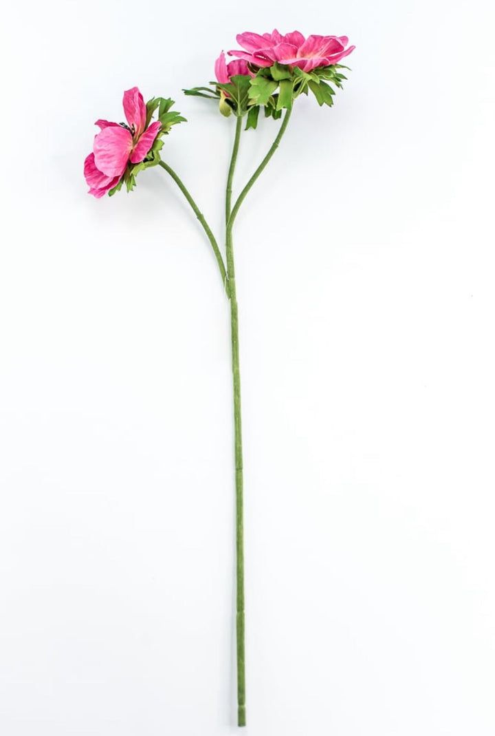 Beauty Pink Anemone Spray - Greenery Market220774