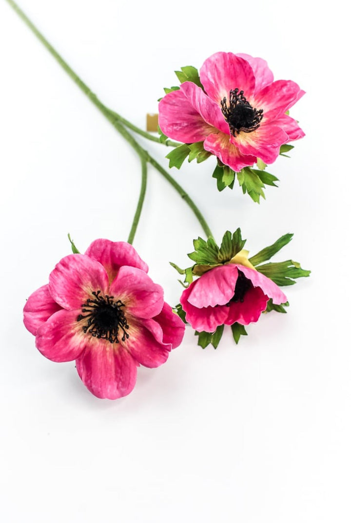 Beauty Pink Anemone Spray - Greenery Market220774