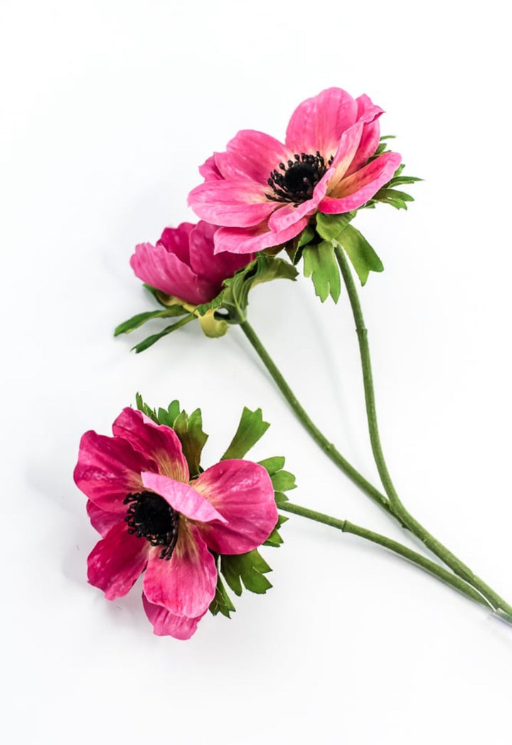 Beauty Pink Anemone Spray - Greenery Market220774