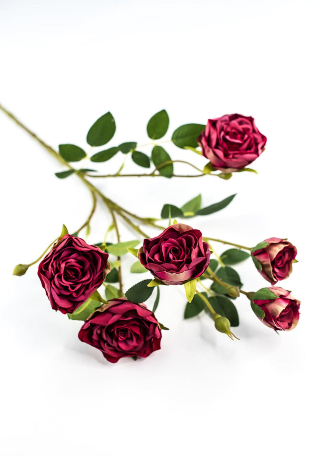 Beauty pink spray rose - Greenery Market5072 - rtr