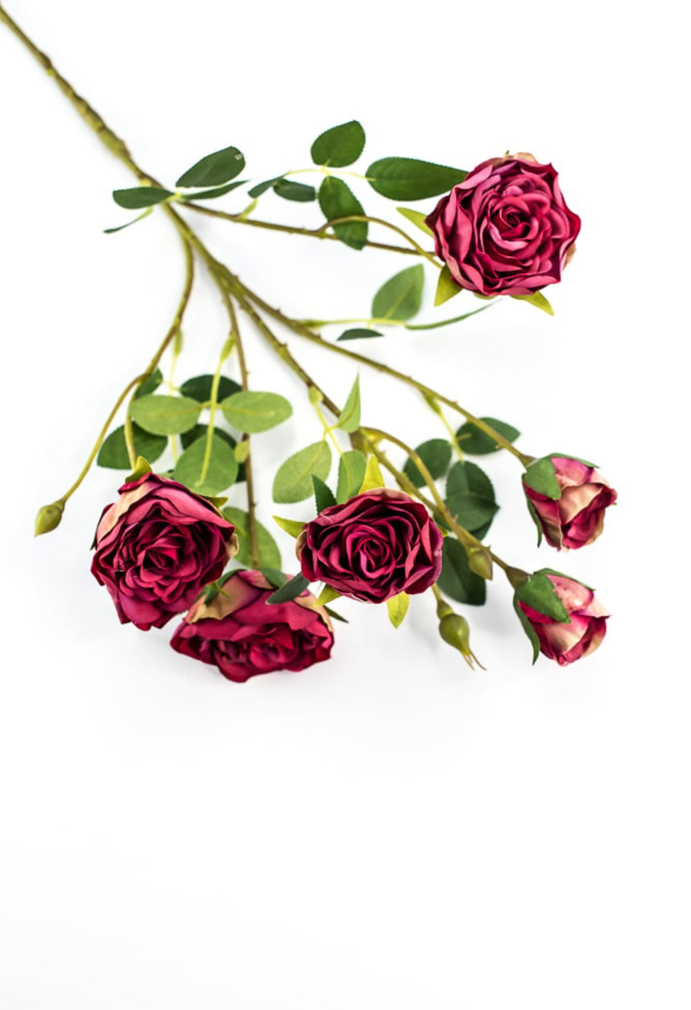 Beauty pink spray rose - Greenery Market5072 - rtr