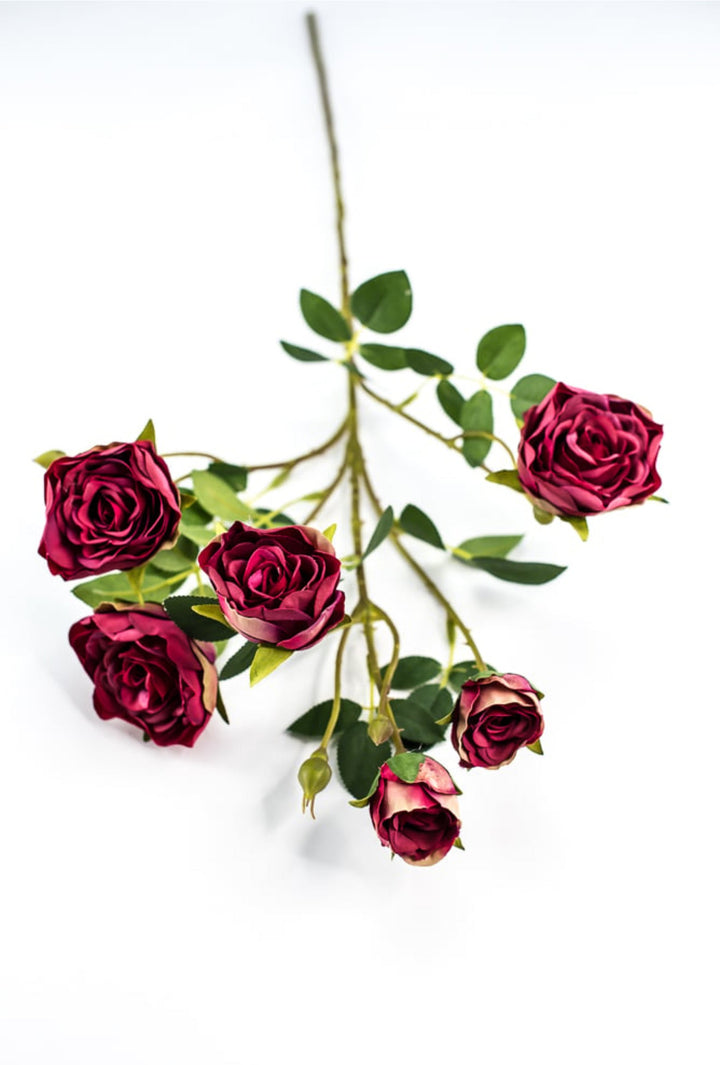 Beauty pink spray rose - Greenery Market5072 - rtr