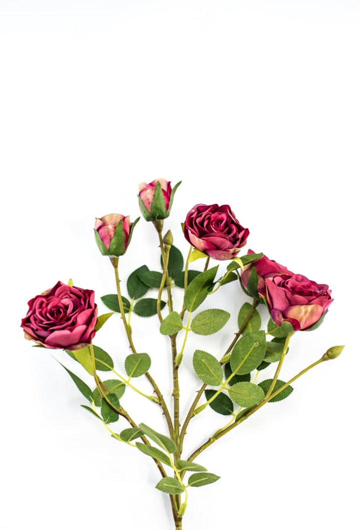 Beauty pink spray rose - Greenery Market5072 - rtr