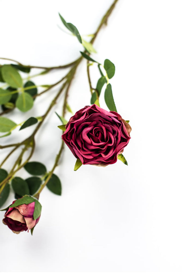 Beauty pink spray rose - Greenery Market5072 - rtr