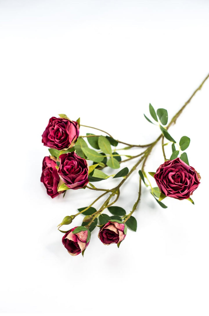 Beauty pink spray rose - Greenery Market5072 - rtr