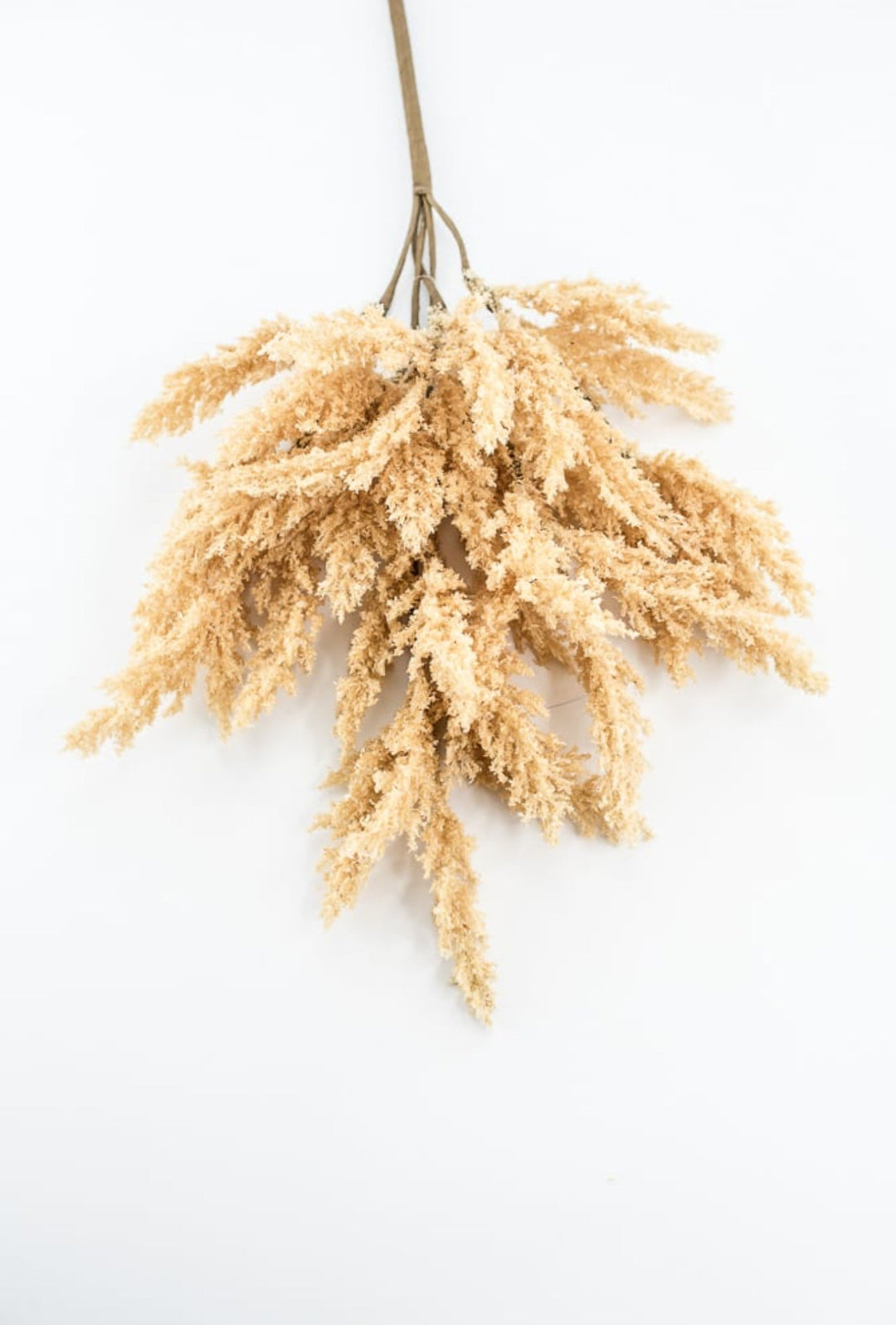 Beige Feather Reed Bush - Greenery Market57265BE