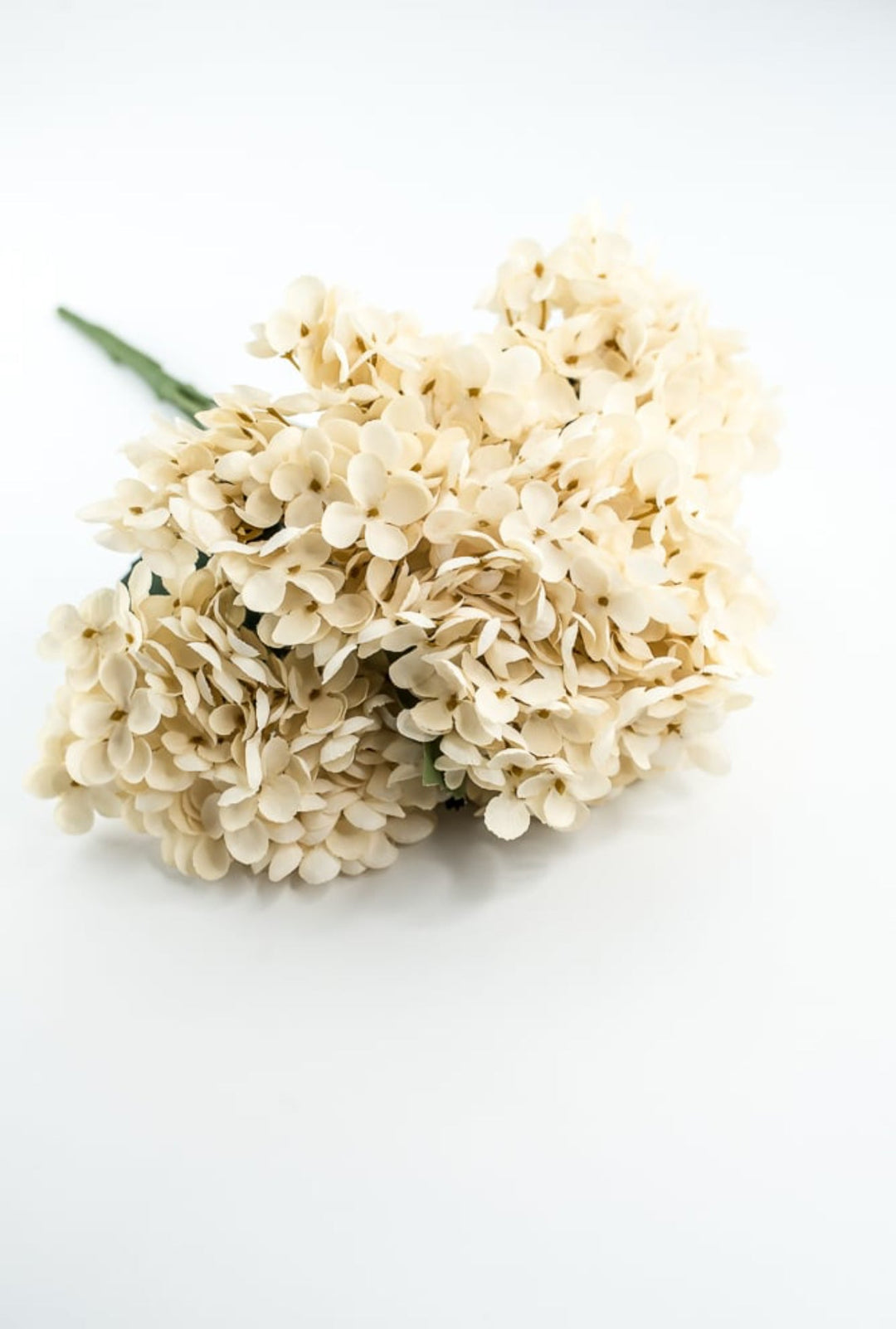 Beige Hydrangea Bush - Greenery Market57328BE